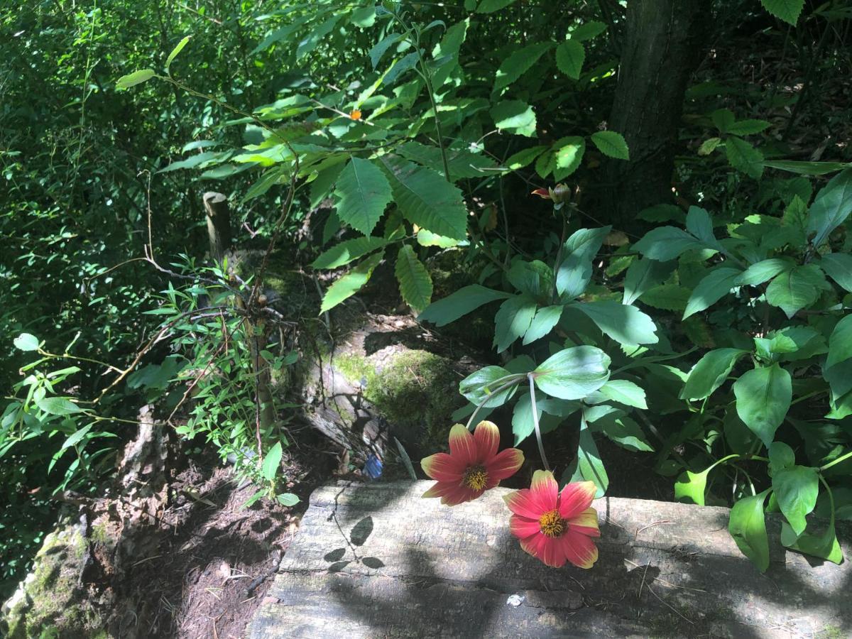 Tiny Gartenhaus Idylle Heilbronn